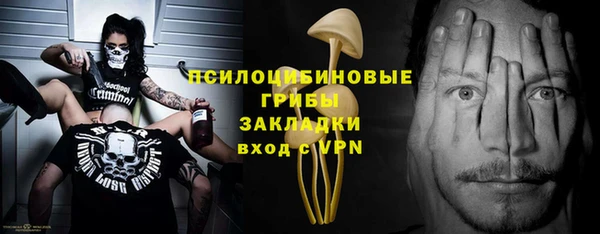 тгк Каменск-Шахтинский