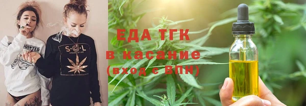 прущие грибы Каменка