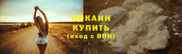 прущие грибы Каменка