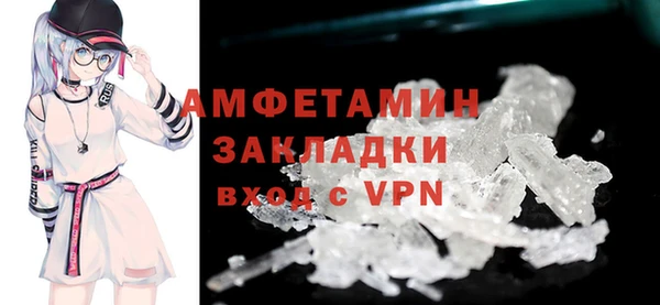 прущие грибы Каменка