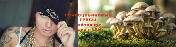 прущая мука Касимов