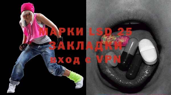 прущие грибы Каменка