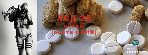 прущие грибы Каменка